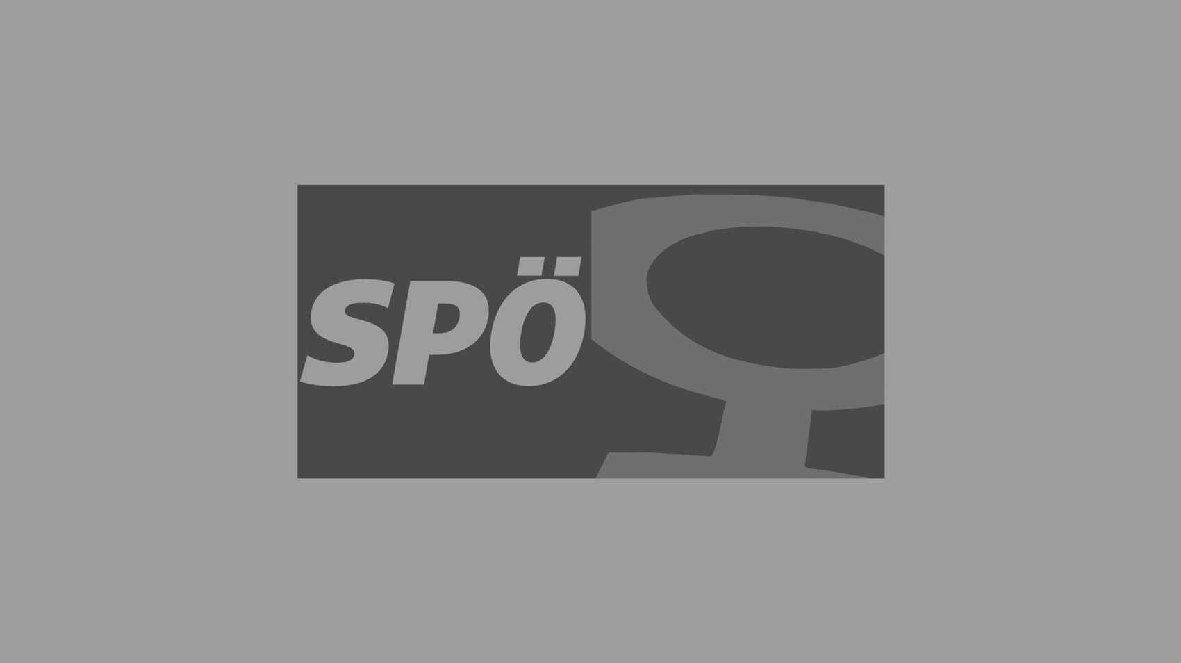 SPÖ Frauen Logo grau 